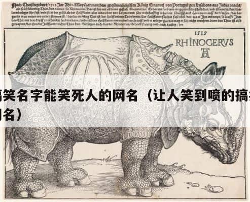搞笑名字能笑死人的网名（让人笑到喷的搞笑网名） 第1张