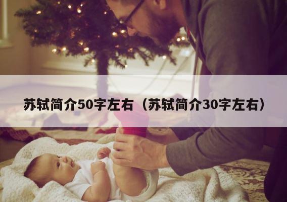 苏轼简介50字左右（苏轼简介30字左右） 第1张
