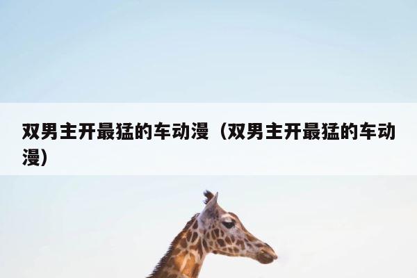 双男主开最猛的车动漫（双男主开最猛的车动漫） 第1张
