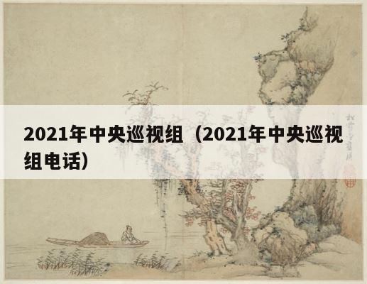2021年中央巡视组（2021年中央巡视组电话） 第1张