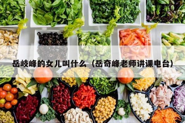 岳岐峰的女儿叫什么（岳奇峰老师讲课电台） 第1张