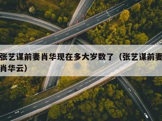 张艺谋前妻肖华现在多大岁数了（张艺谋前妻肖华云） 第1张