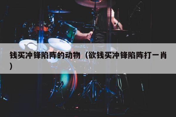 钱买冲锋陷阵的动物（欲钱买冲锋陷阵打一肖） 第1张