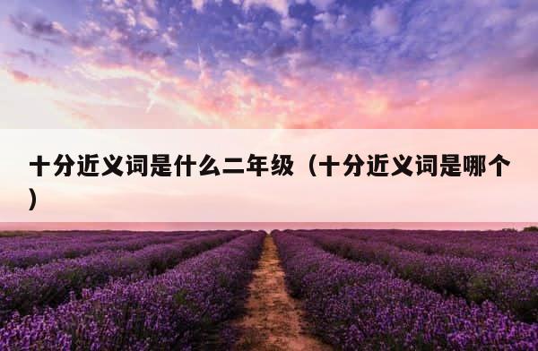十分近义词是什么二年级（十分近义词是哪个） 第1张
