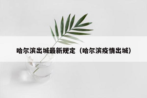 哈尔滨出城最新规定（哈尔滨疫情出城） 第1张