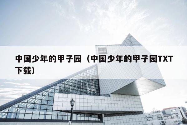 中国少年的甲子园（中国少年的甲子园TXT下载） 第1张