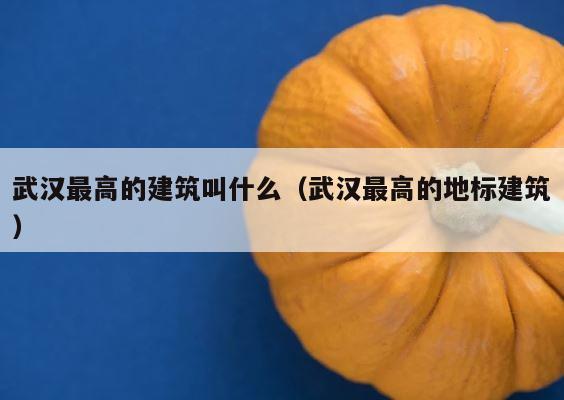 武汉最高的建筑叫什么（武汉最高的地标建筑） 第1张