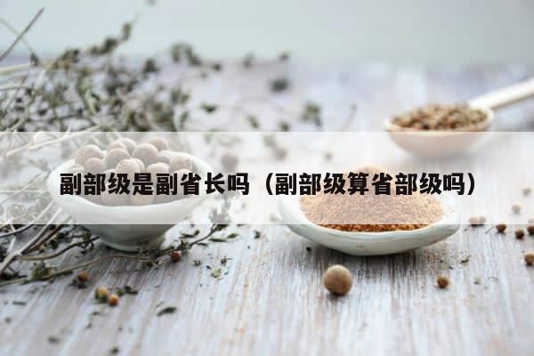 副部级是副省长吗（副部级算省部级吗） 第1张
