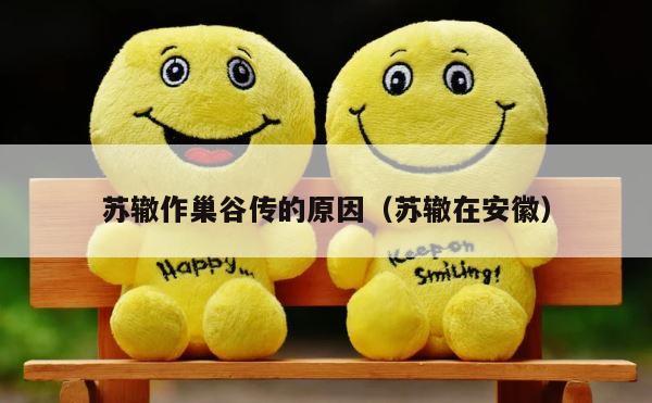 苏辙作巢谷传的原因（苏辙在安徽） 第1张