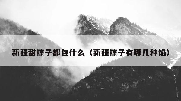 新疆甜粽子都包什么（新疆粽子有哪几种馅） 第1张