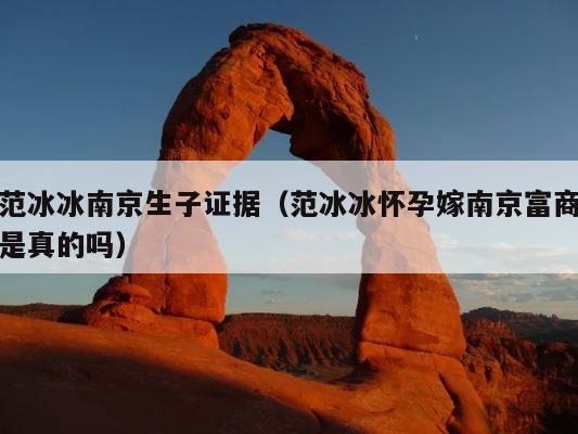 范冰冰南京生子证据（范冰冰怀孕嫁南京富商是真的吗） 第1张