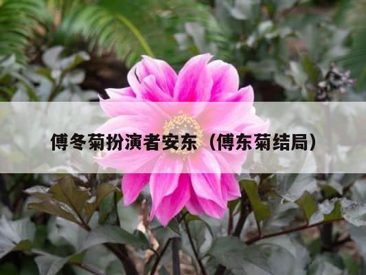 傅冬菊扮演者安东（傅东菊结局） 第1张