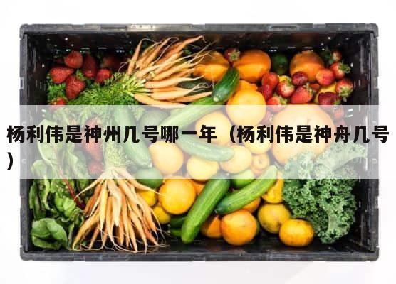 杨利伟是神州几号哪一年（杨利伟是神舟几号） 第1张
