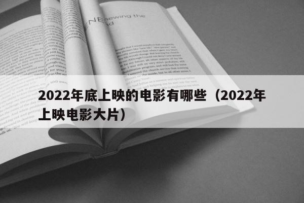 2022年底上映的电影有哪些（2022年上映电影大片） 第1张