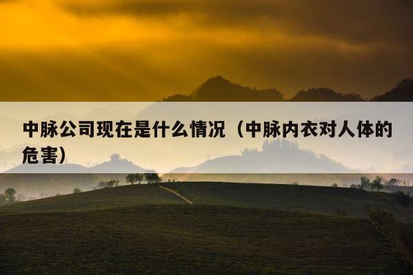 中脉公司现在是什么情况（中脉内衣对人体的危害） 第1张