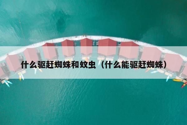 什么驱赶蜘蛛和蚊虫（什么能驱赶蜘蛛） 第1张