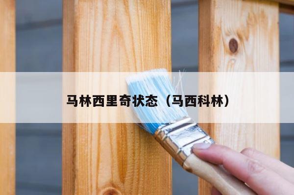 马林西里奇状态（马西科林） 第1张