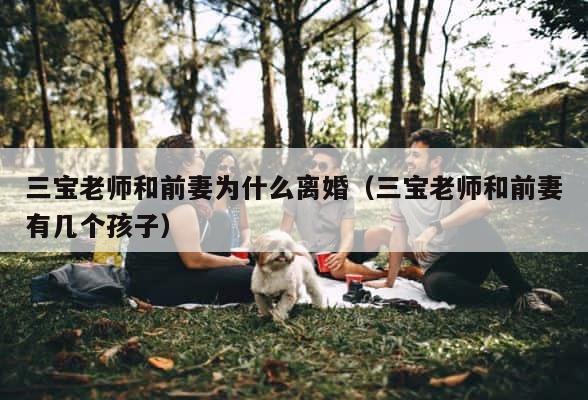 三宝老师和前妻为什么离婚（三宝老师和前妻有几个孩子） 第1张