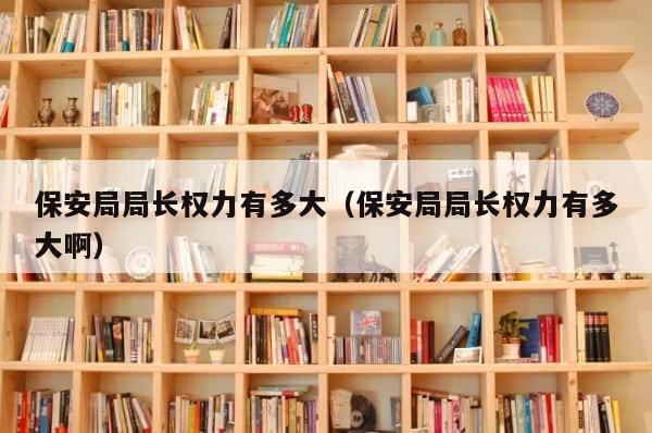 保安局局长权力有多大（保安局局长权力有多大啊） 第1张