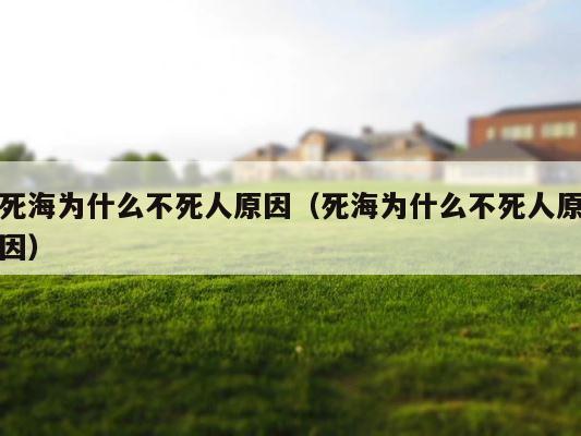 死海为什么不死人原因（死海为什么不死人原因） 第1张