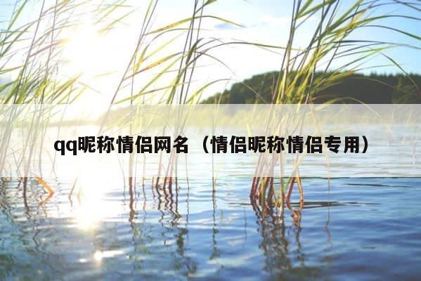 qq昵称情侣网名（情侣昵称情侣专用） 第1张