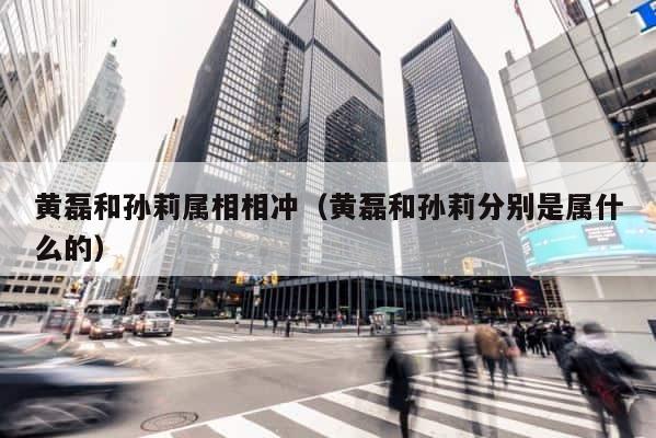 黄磊和孙莉属相相冲（黄磊和孙莉分别是属什么的） 第1张