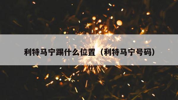 利特马宁踢什么位置（利特马宁号码） 第1张