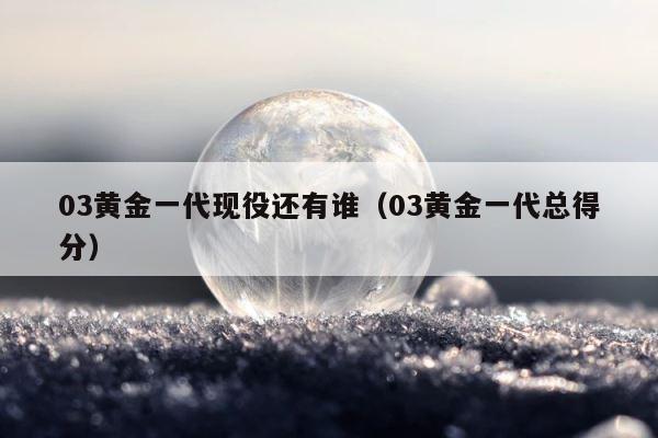 03黄金一代现役还有谁（03黄金一代总得分） 第1张