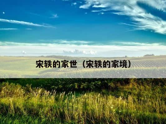 宋轶的家世（宋轶的家境） 第1张