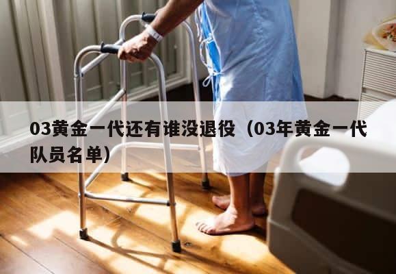 03黄金一代还有谁没退役（03年黄金一代队员名单） 第1张