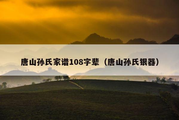 唐山孙氏家谱108字辈（唐山孙氏银器） 第1张