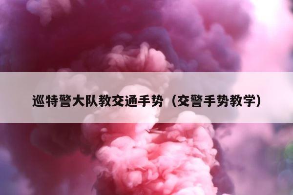 巡特警大队教交通手势（交警手势教学） 第1张