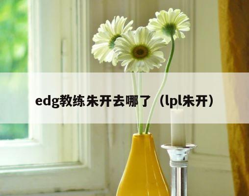 edg教练朱开去哪了（lpl朱开） 第1张