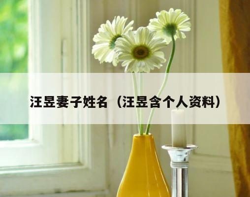 汪昱妻子姓名（汪昱含个人资料） 第1张