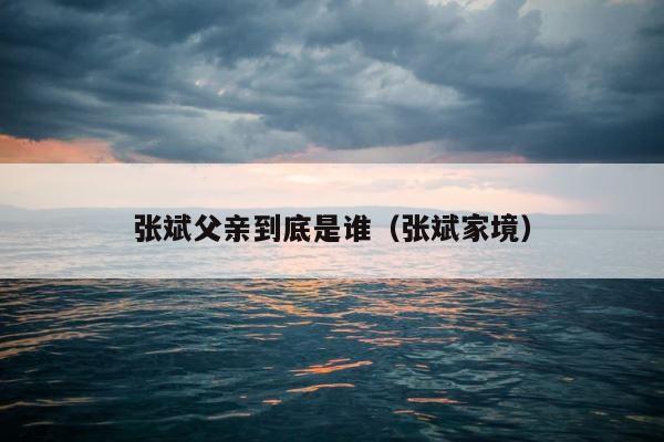 张斌父亲到底是谁（张斌家境） 第1张