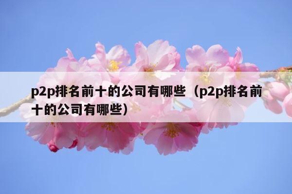 p2p排名前十的公司有哪些（p2p排名前十的公司有哪些） 第1张