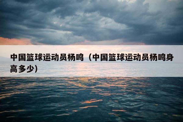 中国篮球运动员杨鸣（中国篮球运动员杨鸣身高多少） 第1张
