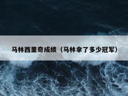 马林西里奇成绩（马林拿了多少冠军） 第1张