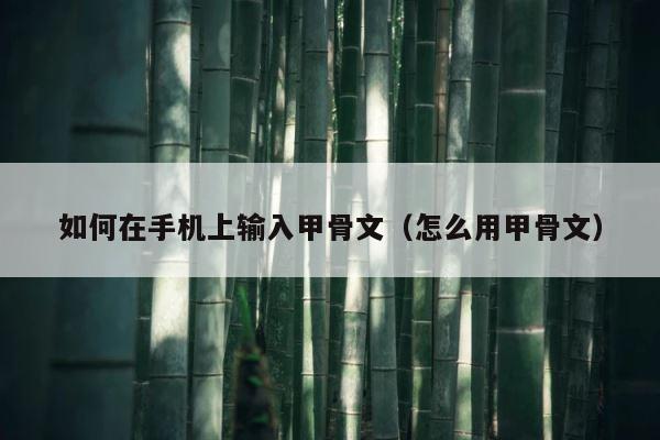 如何在手机上输入甲骨文（怎么用甲骨文） 第1张
