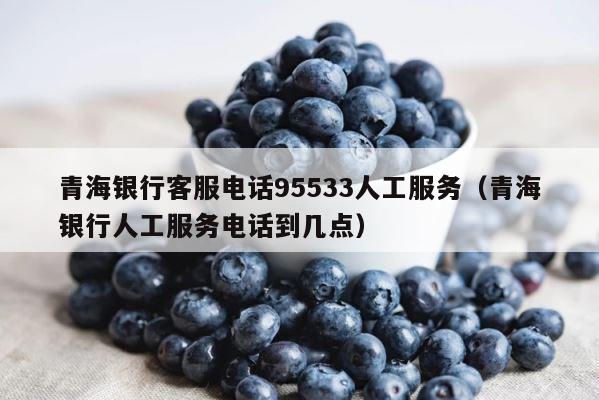 青海银行客服电话95533人工服务（青海银行人工服务电话到几点） 第1张