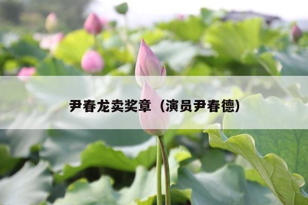 尹春龙卖奖章（演员尹春德） 第1张