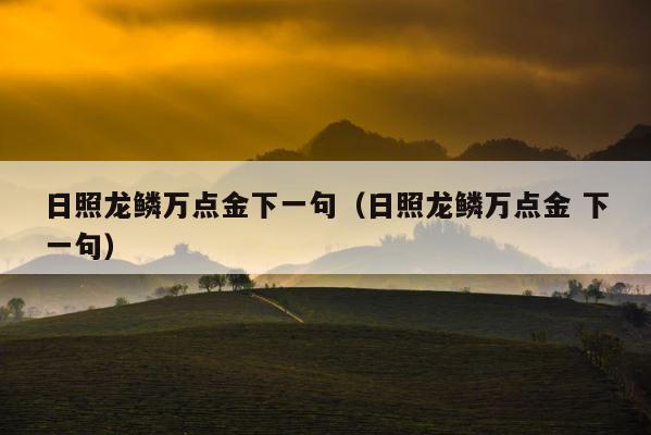 日照龙鳞万点金下一句（日照龙鳞万点金 下一句） 第1张
