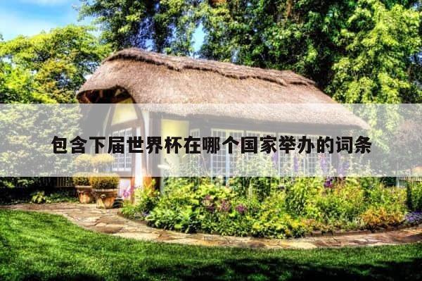 包含下届世界杯在哪个国家举办的词条 第1张