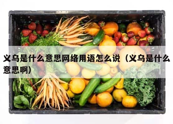 义乌是什么意思网络用语怎么说（义乌是什么意思啊） 第1张