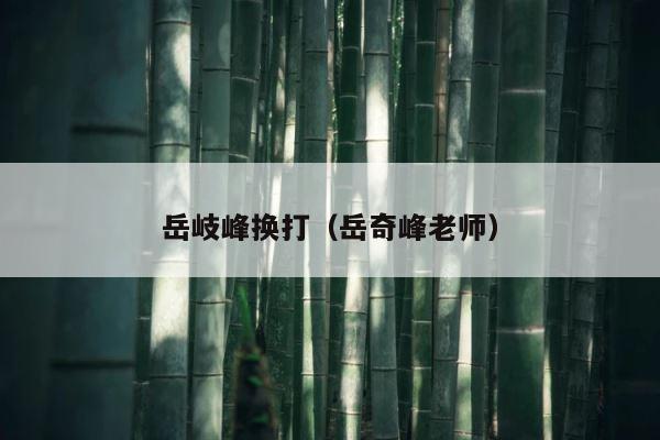 岳岐峰换打（岳奇峰老师） 第1张