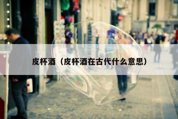 皮杯酒（皮杯酒在古代什么意思） 第1张