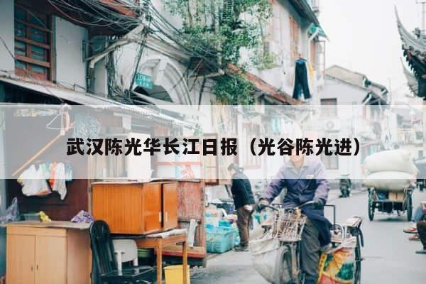 武汉陈光华长江日报（光谷陈光进） 第1张