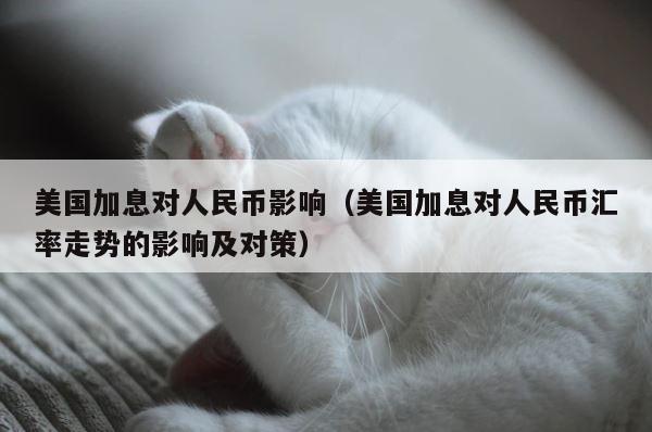 美国加息对人民币影响（美国加息对人民币汇率走势的影响及对策） 第1张