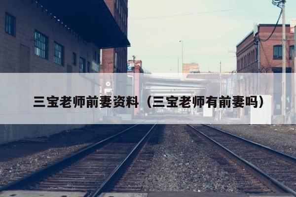三宝老师前妻资料（三宝老师有前妻吗） 第1张