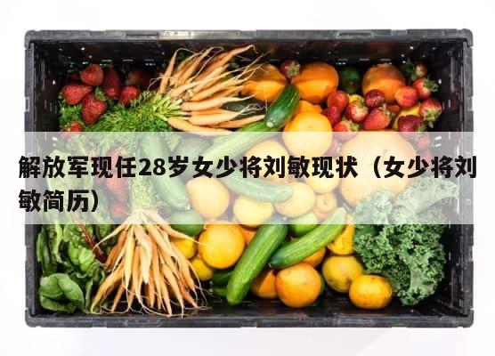 解放军现任28岁女少将刘敏现状（女少将刘敏简历） 第1张